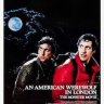 An American Werewolf In London